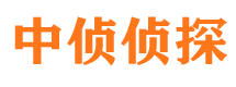 黑山调查公司